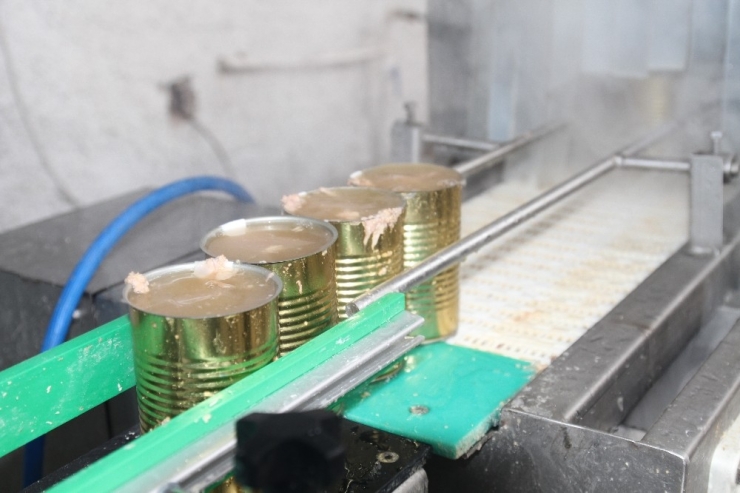 2 Ay Önce Kedi-köpek Maması Üretim Tesisi Kurdu, 5 Ülkeden Teklif Aldı