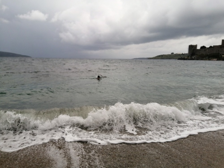 Suda Çırpınan Martı İçin Soğuk Havada Denize Atladılar