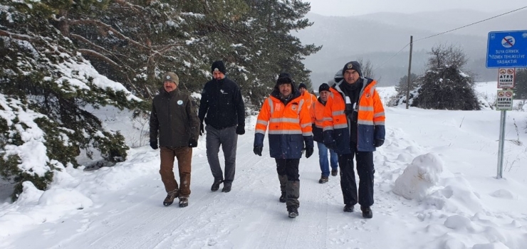 Bakan Pakdemirli, İyileşen Gökdoğanı Doğaya Bıraktı