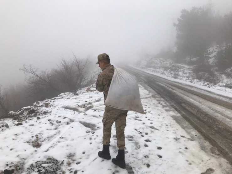 Yaban Hayvanları İçin Doğaya Yiyecek Bırakıldı