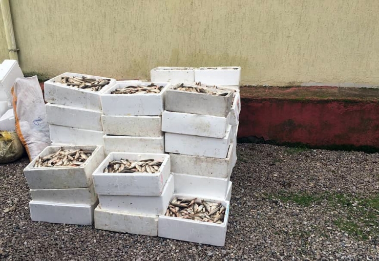 Kaçak Avlananlara Ceza