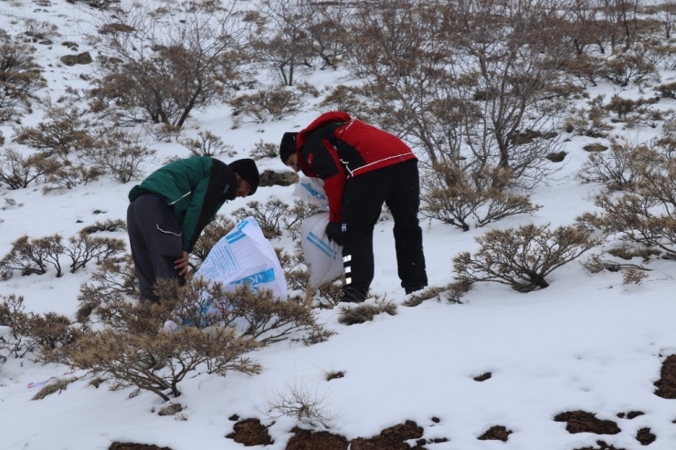 İhh Ekipleri Bu Kez Dağ Keçilerini Besledi