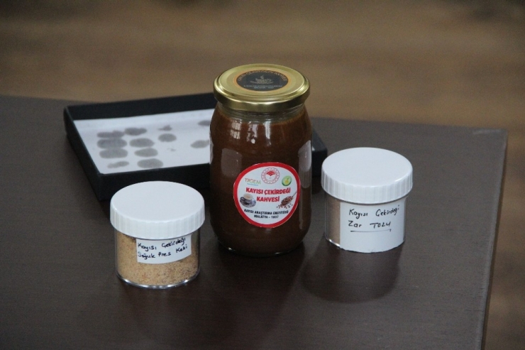 Kayısının Çekirdeğinden Kahve, Ezme Ve Zar Tozu Üretilecek