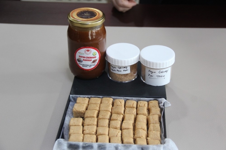 Kayısının Çekirdeğinden Kahve, Ezme Ve Zar Tozu Üretilecek