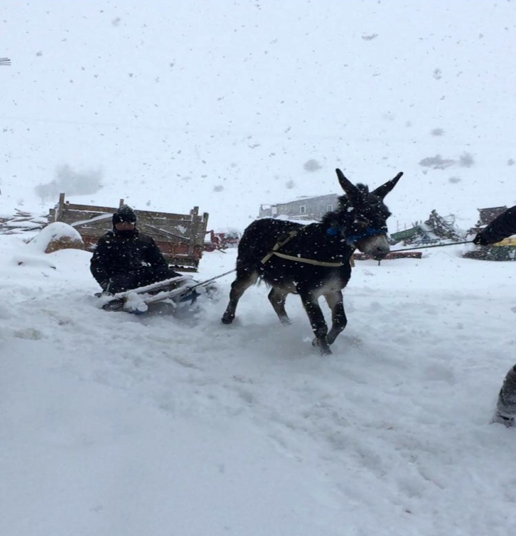 Çocukların Eşekli Kızak Keyfi