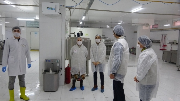 İstanbul’da Süt Ve Süt Ürünlerine Sıkı Denetim