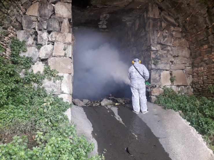 Kdz. Ereğli’de Bahar Önce Sivrisineklerle Mücadele Başladı