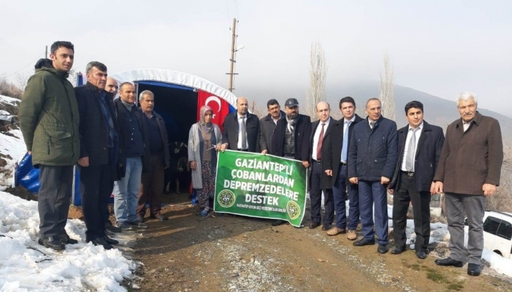 Gaziantepli Çobanlardan Depremzedelere Anlamlı Destek