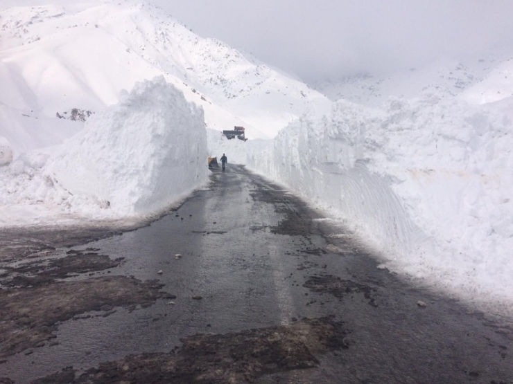 Hakkari-şırnak Kara Yoluna Çığ Düştü