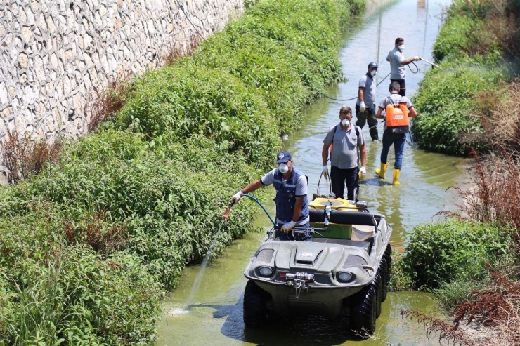 Büyükşehir’den Haşere İle Mücadelede Büyük Seferberlik...