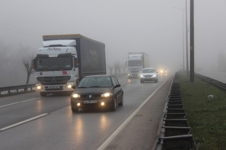 Kocaeli’de Yoğun Sis Sürücülere Zor Anlar Yaşattı