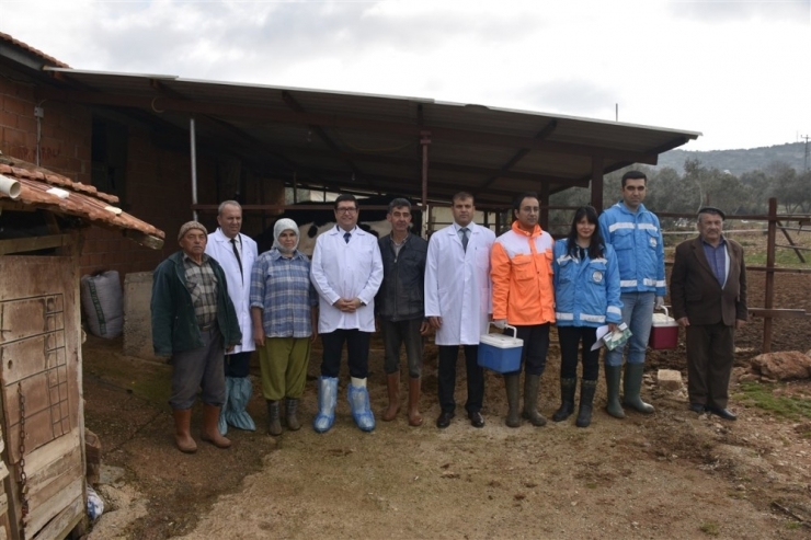 Menteşe’de 2020 Aşılama Kampanyası Başlatıldı