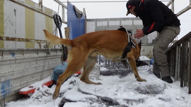 Narko Muş, Uyuşturucu Tacirlerine Göz Açtırmıyor