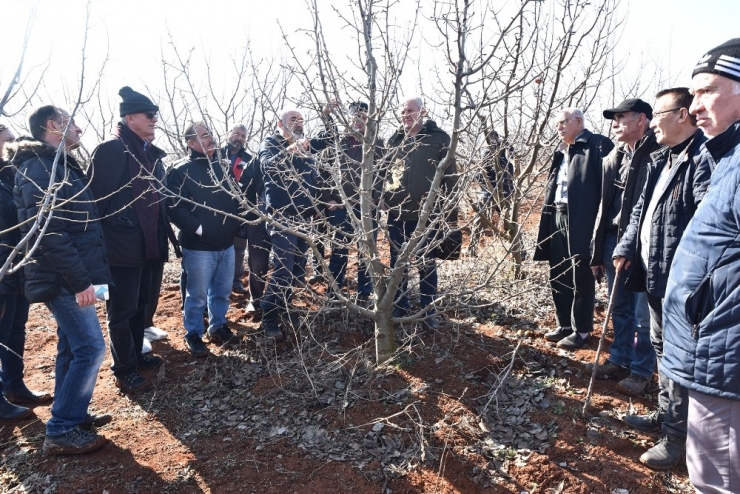 Budama Eğitimini Teoriden Pratiğe Döktüler