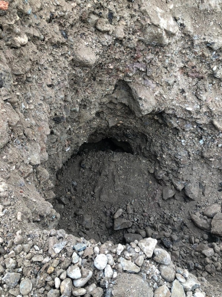 Kepçeyle Kaçak Kazı Yapan 2 Kişi Gözaltına Alındı