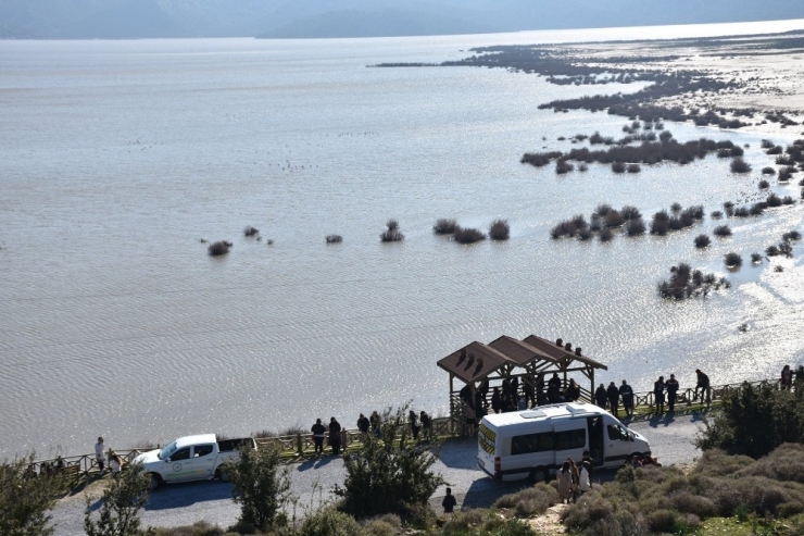 Bafa Gölü’nde Kuş Gözlemi Etkinliği Yapıldı