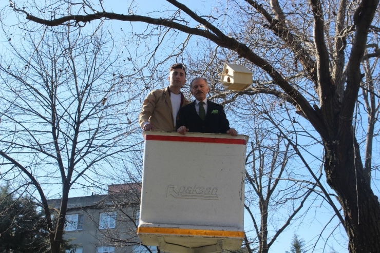 Meslek Lisesi Öğrencilerinden Kedi, Köpek Ve Kuşlara Yuva