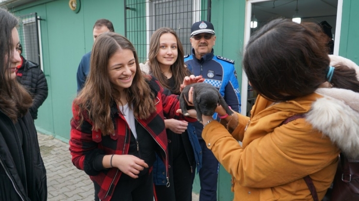 Öğrenciler Barınakta Can Dostlarıyla Buluştu