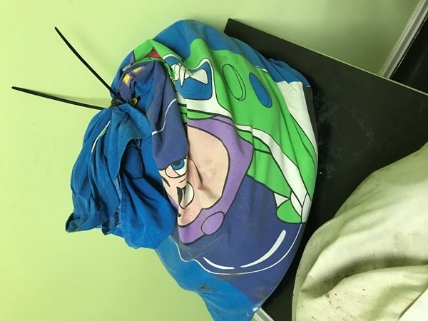 Yastık Kılıfı İçerisinde Bırakılan Yılanlar Korkuttu