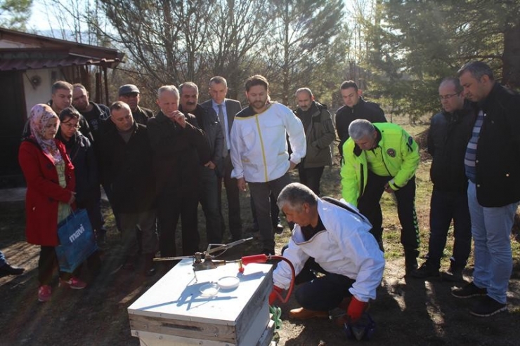 Kovadan Sofraya Bal Eğitimi