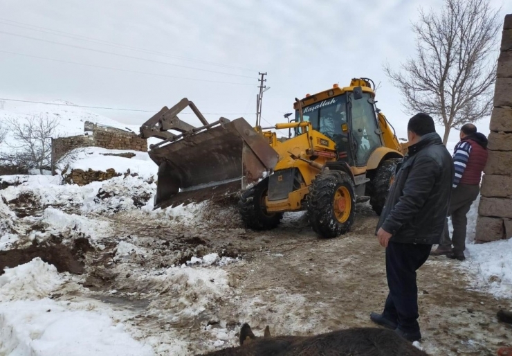 Karın Ağırlığını Taşıyamayan Ahırın Çatısı Çöktü: 3 Büyükbaş Hayvan Telef Oldu