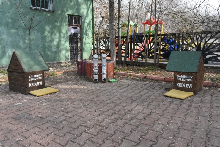 Şahinbey Belediyesi Sokak Hayvanlarına Sahip Çıkıyor