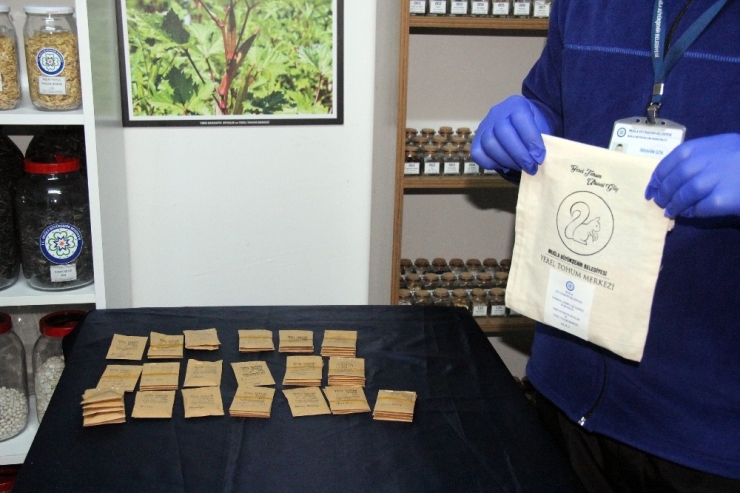 Başkan Gürün’den Ardahan’a ‘Yerel Tohum’ Çağrısı