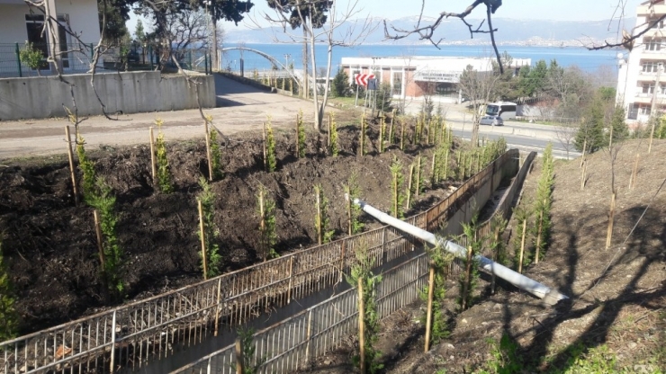 Gölcük’te Vatandaş Talep Etti, Çevre Düzenlemesi Yapıldı