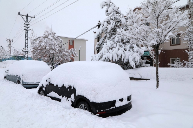 Başkale’nin ‘Kar Kaplanı’ Kışın Da Kısa Kol Giyiyor