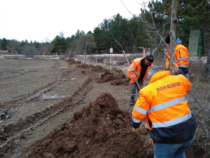 Bilecik’te Yüzlerce Ağaç Ve Bitki Toprakla Buluştu