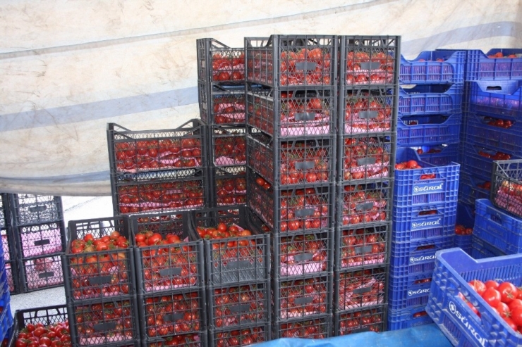 Pazar Esnafının Sebzelerini Çaldılar