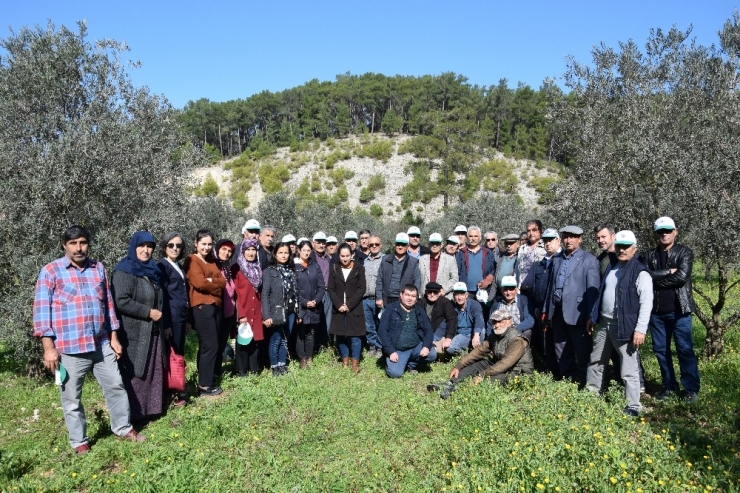 Çiftçilere Uygulamalı Budama Eğitimi