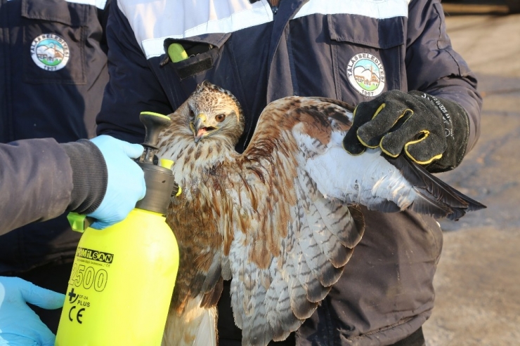 Yaralı Doğan’a Talas Belediyesi Sahip Çıktı