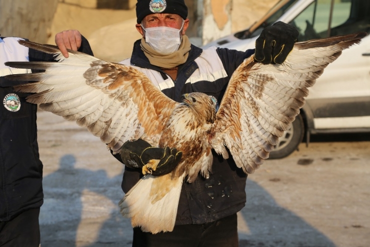 Yaralı Doğan’a Talas Belediyesi Sahip Çıktı