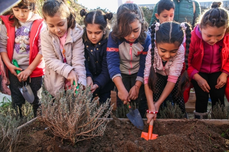 Buca’da Minikler Toprakla Buluştu, Bitkileri Koklayarak Tanıdı