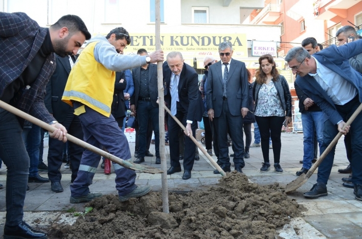 Didim Belediyesi’nden Yeni Peyzaj Çalışması İçin İlk Adım