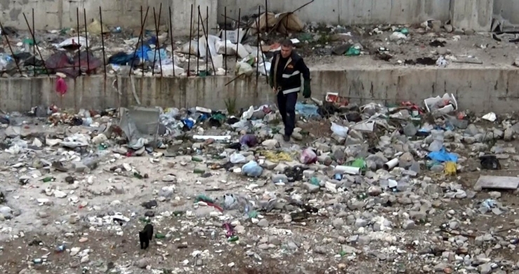 Kuş Avlamak İsteyen Kedi İnşaatın Temelinde Mahsur Kaldı