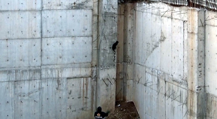 Kuş Avlamak İsteyen Kedi İnşaatın Temelinde Mahsur Kaldı