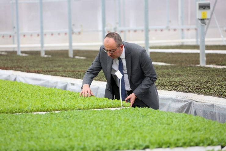 Paydaşlar ‘Sebze Fidesi Üretim Tesisi’nin Geleceği İçin Buluştu