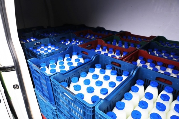 Halk Süt Projesi Milas’ta Da Hayat Bulacak