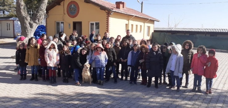 Çocuklar Hayvan Barınağını Ziyaret Etti