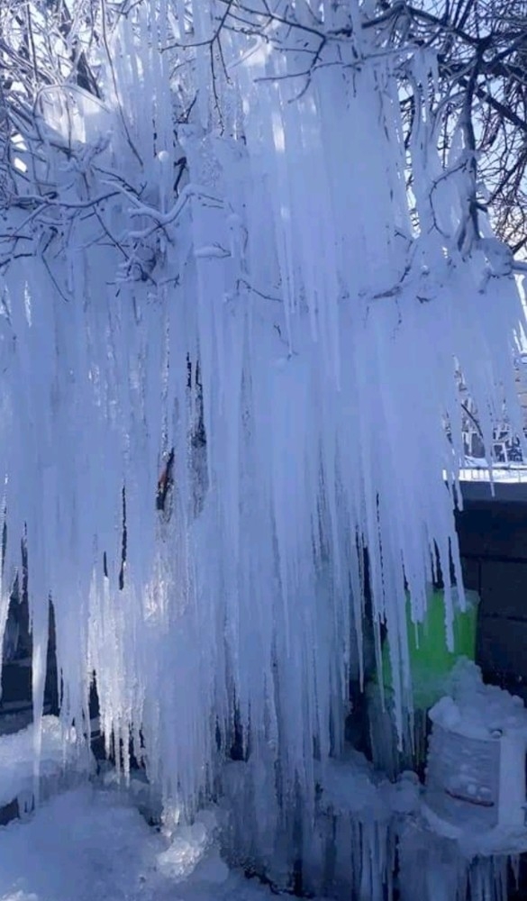 Buz Tutan Ağacı Gören Vatandaşlar Şaşkınlığını Gizleyemedi