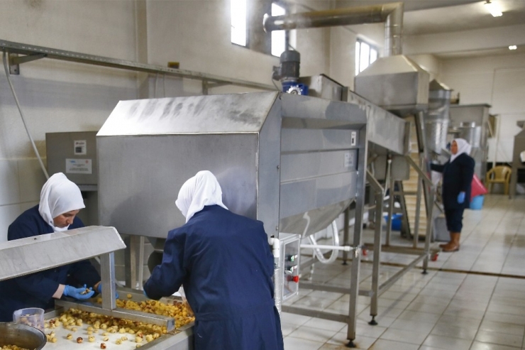 Günlük 1 Ton 200 Kilogram Üretim Gerçekleştiriliyor