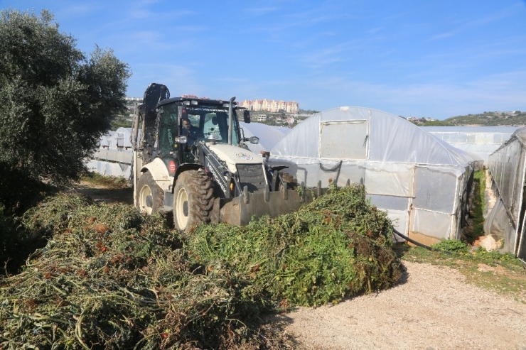 Erdemli’de Tarım Arazileri Temizlendi