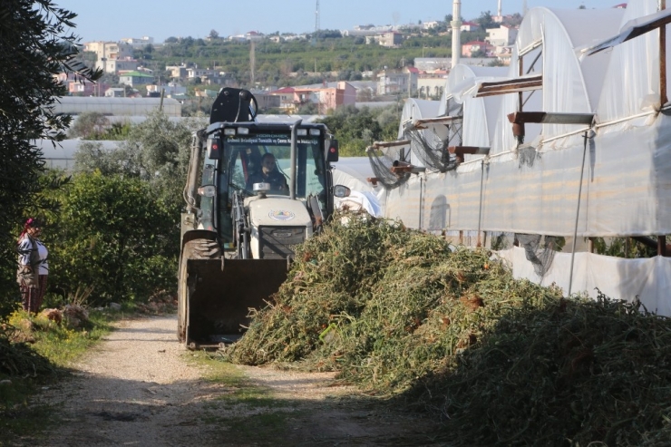 Erdemli’de Tarım Arazileri Temizlendi