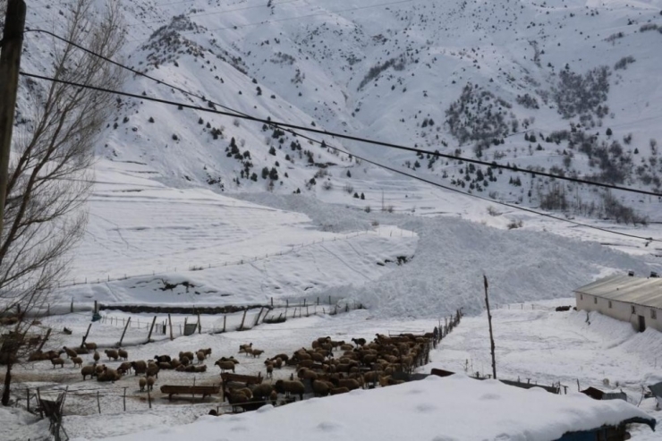 Vali Yardımcısı Duruk Çığ Bölgesinde