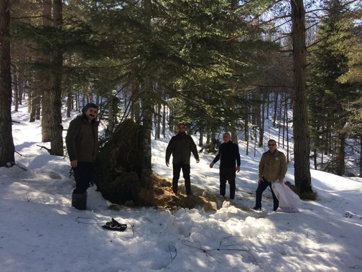 Kar Kalınlığının 1 Metreyi Geçtiği Bölgelere Yem Bıraktılar