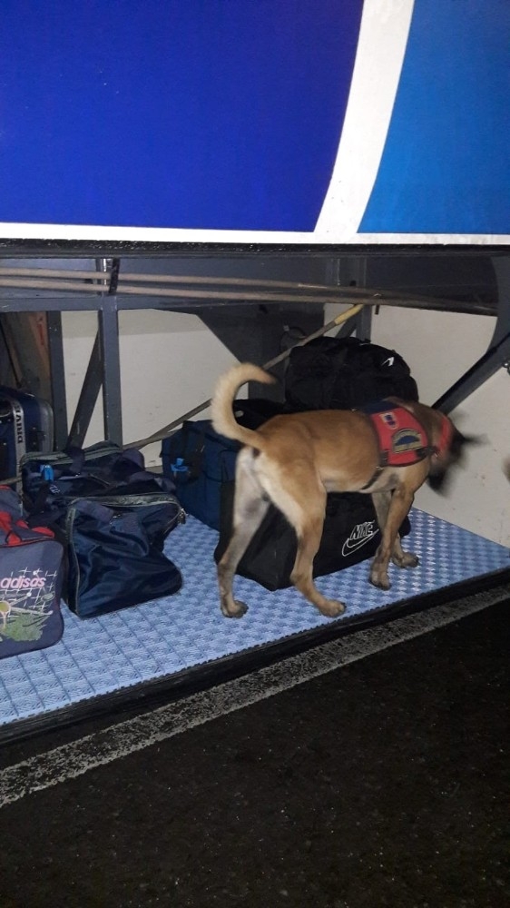 Jandarma Antalya’da 35 Kişiyi Yakaladı