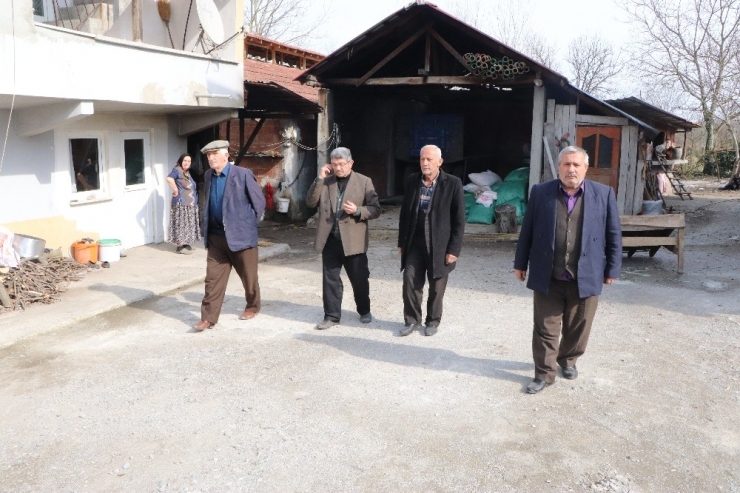 Samsun’da Büyükbaş Hayvan Dolandırıcılığı İddiası: ’220 Bin Tl’lik Vurgun’