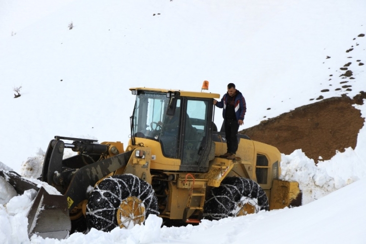 Köy Yolunun Açılmasını Halaylarla Kutladılar